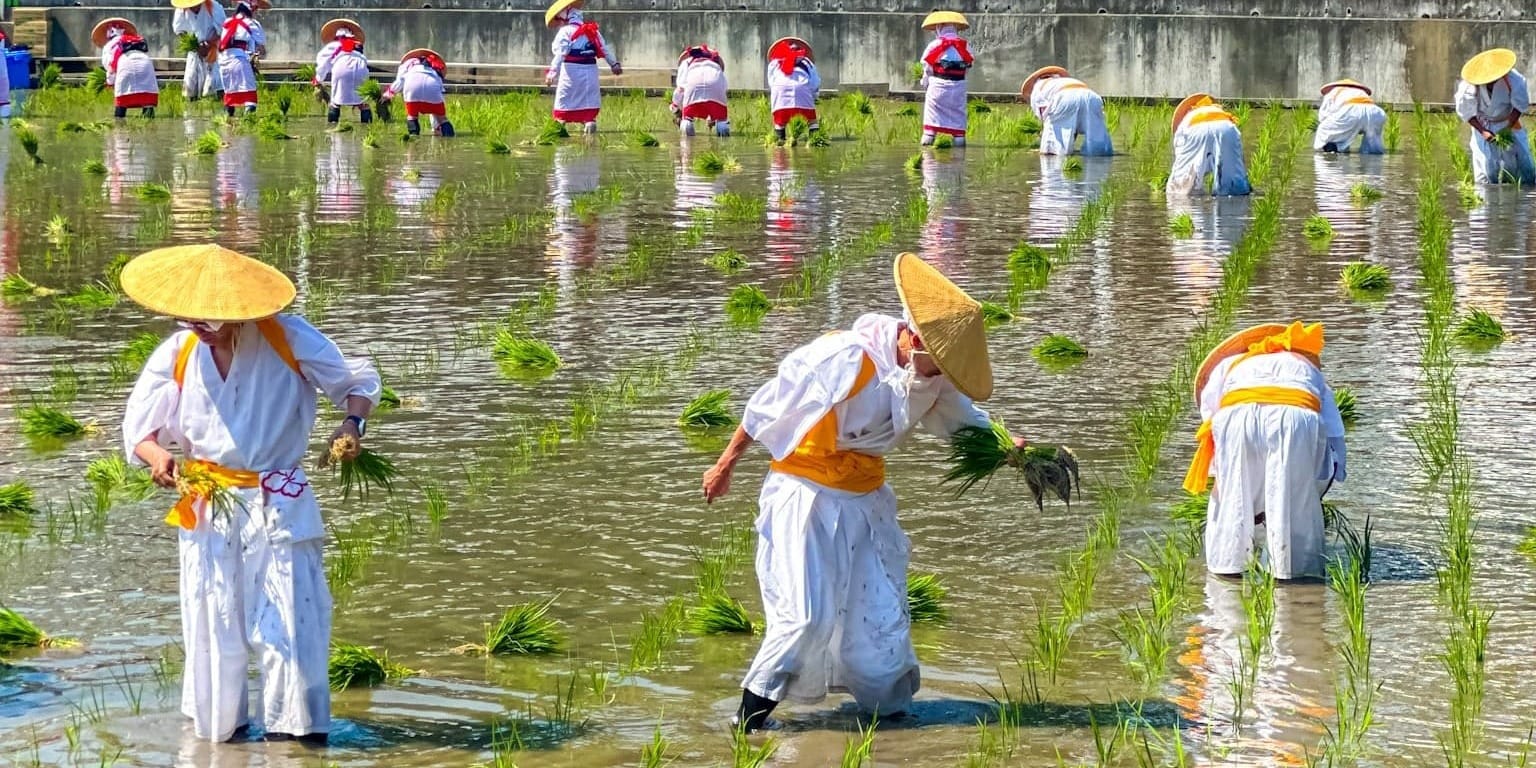 Introduction to the Rice Planting Festival in Osaka (Otaue Shinji )